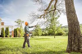 Best Tree Trimming and Pruning  in Longbranch, WA